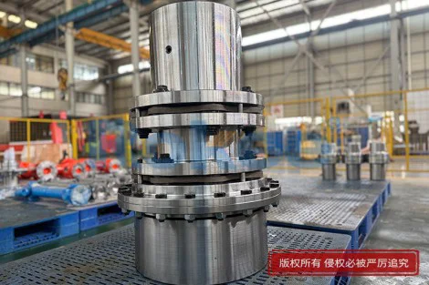 双节膜片联轴器（出口俄罗斯）